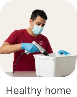 Big Services (3).png